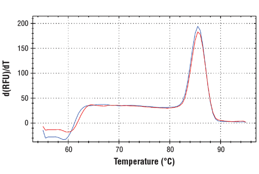 Melt Curve